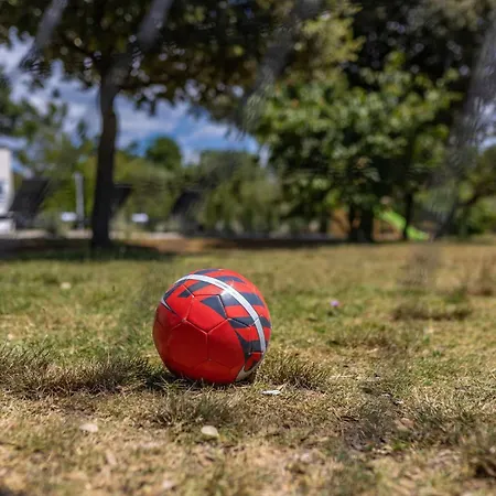 Calma Briševo